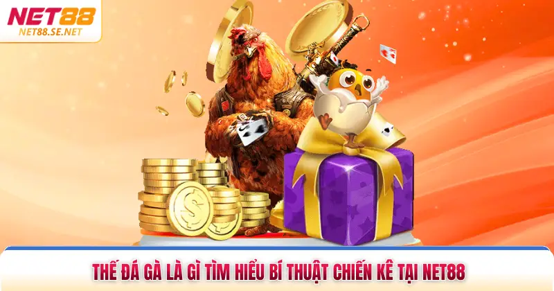Thế Đá Gà Là Gì Tìm Hiểu Bí Thuật Chiến Kê Tại NET88